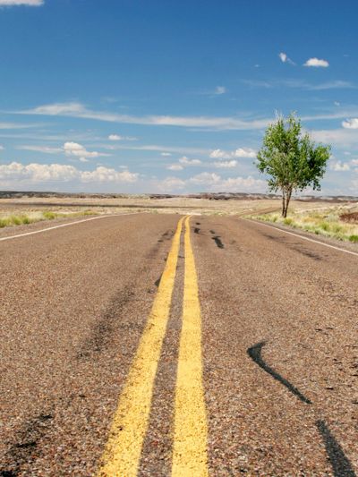 A deserted road stretches into the horizon with a single tree on the side under a blue sky.