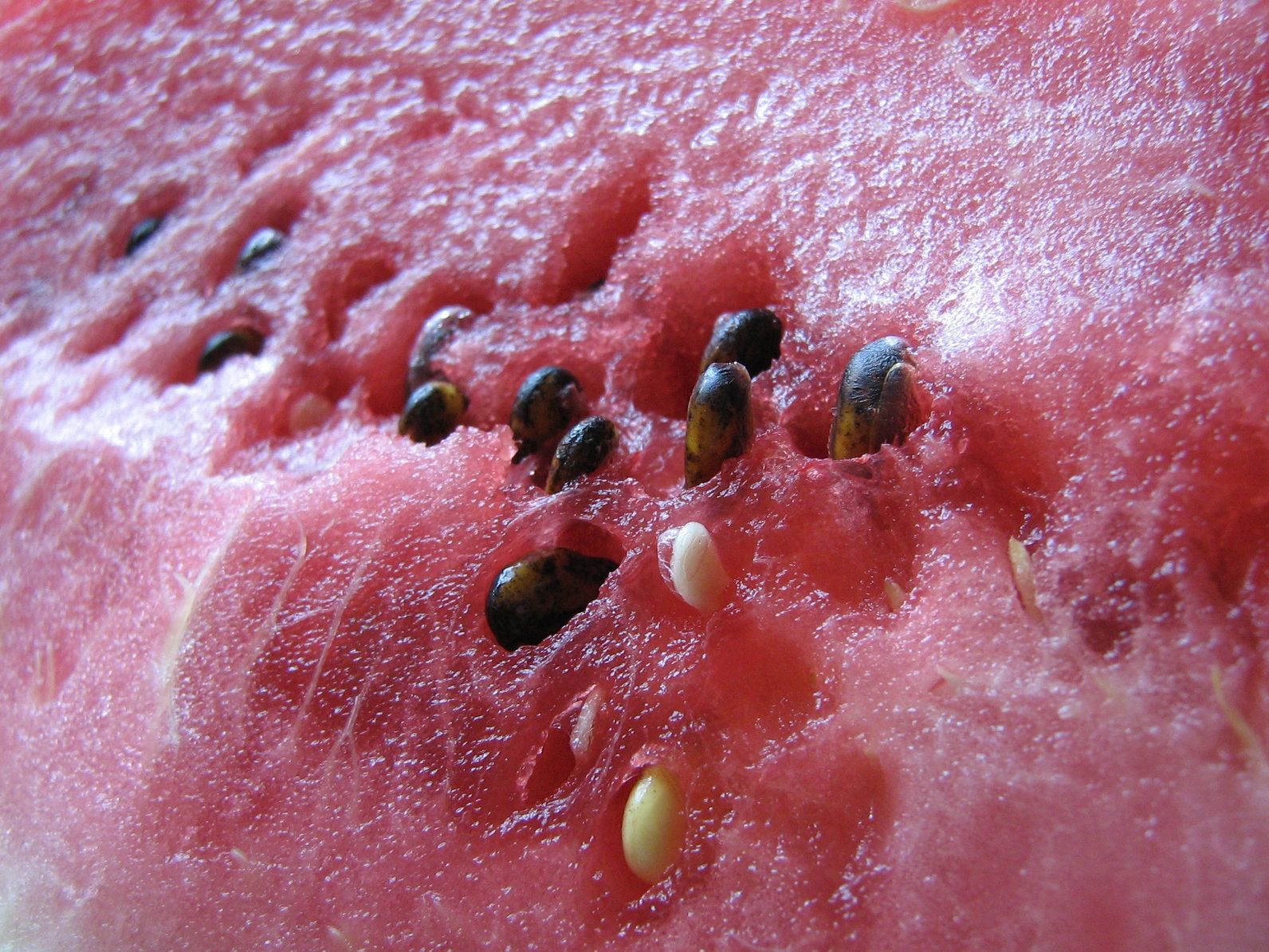 Glycemic index vs. Glycemic Load (or, I wish I had a watermelon)