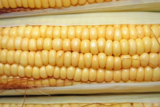 CornHub