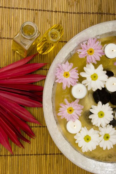 The Land of Milk and Honey photo 14