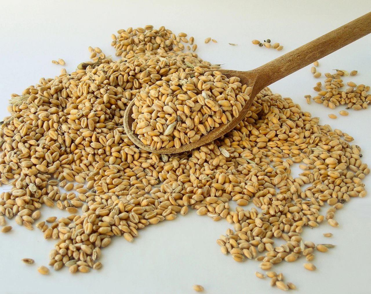 Maca Root: natural energy booster that keeps you powered all day