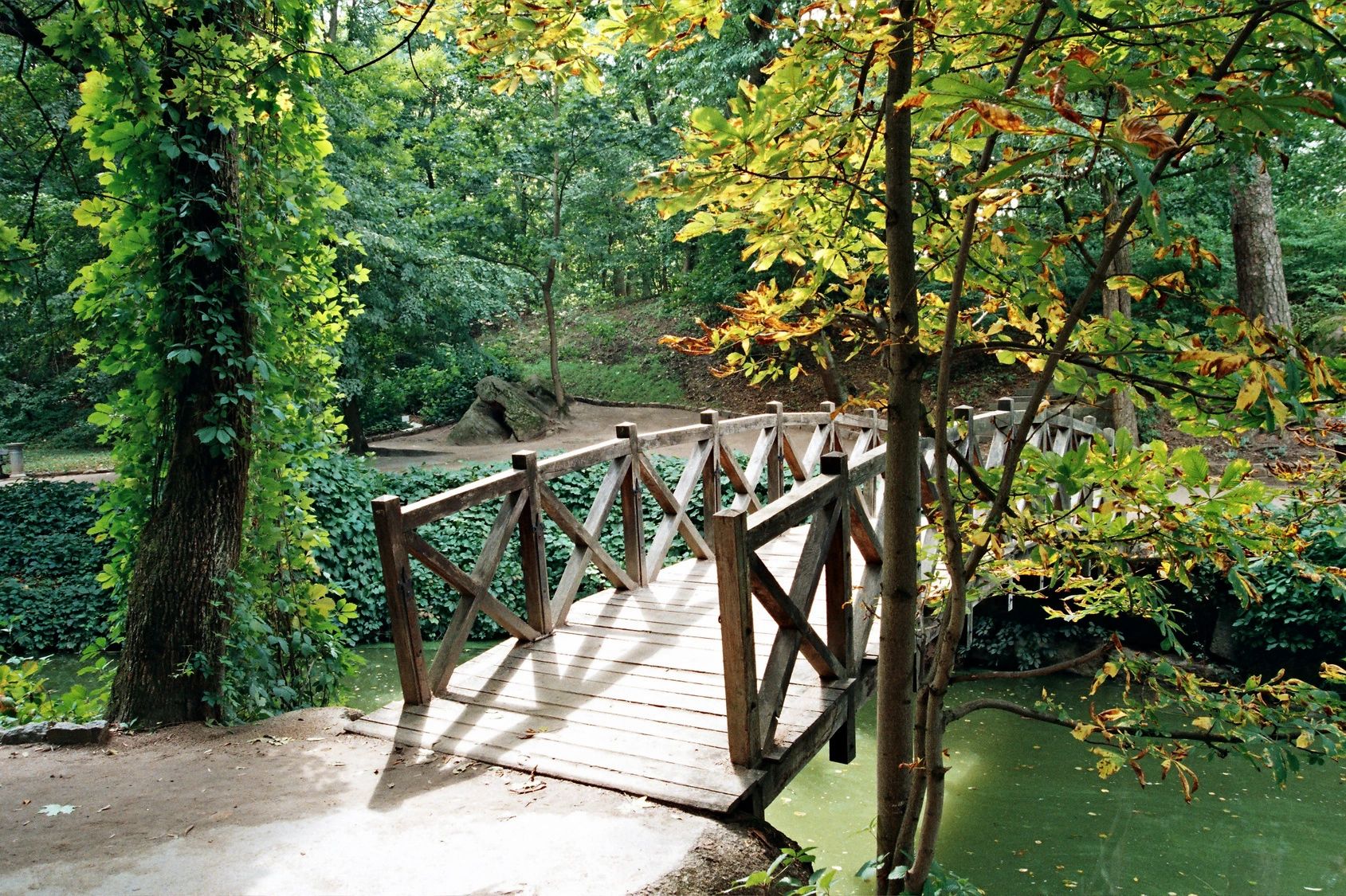 Hieu Pham, mental health therapist, certified in EMDR therapy, helps you cross over the bridge. 