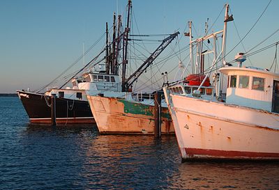 Fishing for tasty kipper recipes 