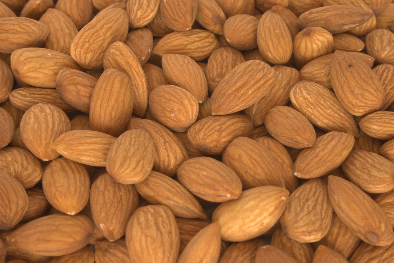 Vegan protein powder using Almond