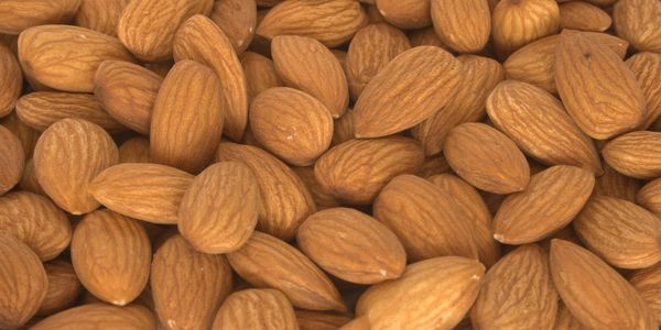 Boost Your Health With VITAMIN B17 From Coyote Herbs