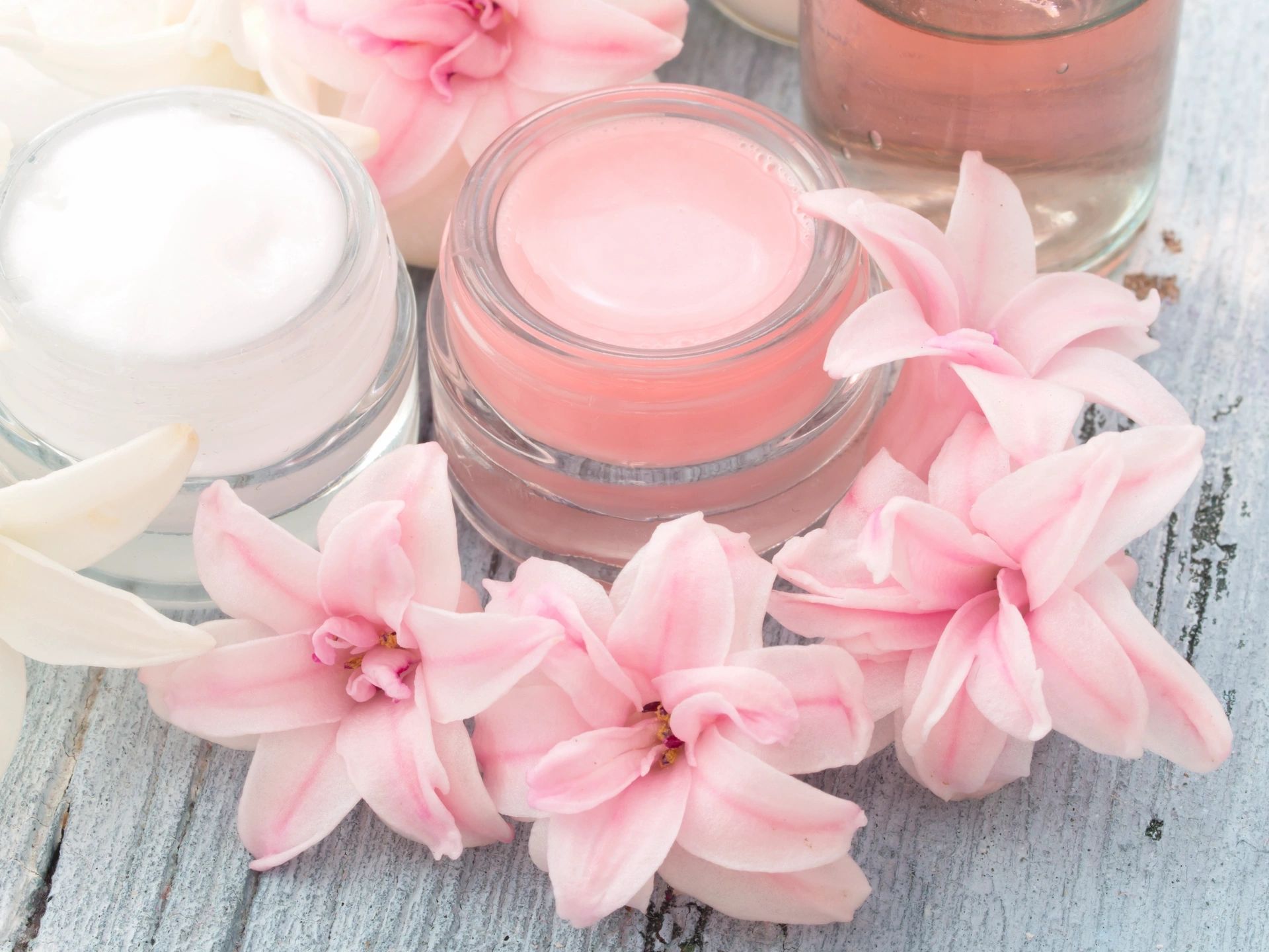 pink flower surrounding night cream moisturizers