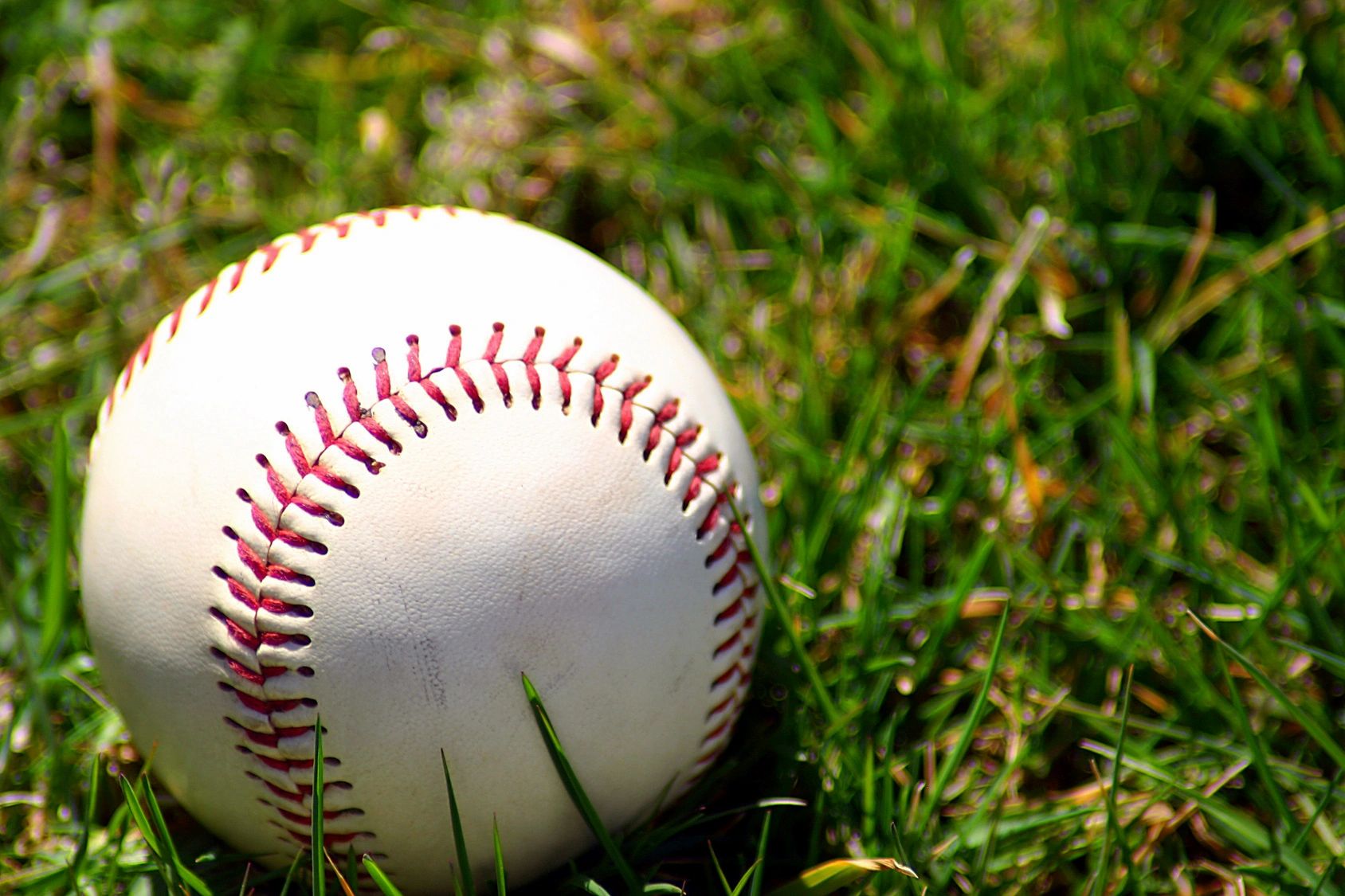 Sports writing. Baseball Trainings. Мяч для игры в Бейсбол лежит на траве. Fastball in Softball.