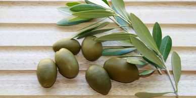 Antica Olive Oils & Vinegars