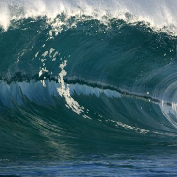 A powerful ocean wave about to crash.