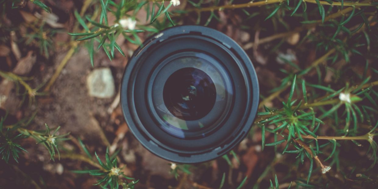 Camera lens surrounded by green plants.