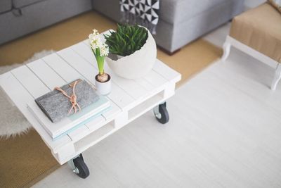White pallet coffee table with plants and books in a cozy living room.
