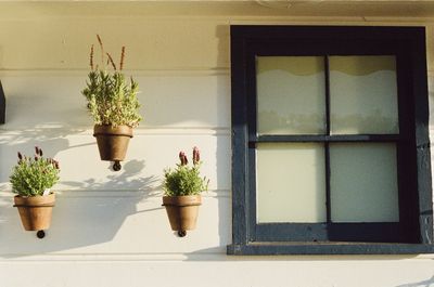 Picture of a homes window with 3 pots of plants hanging from the home's eaves.