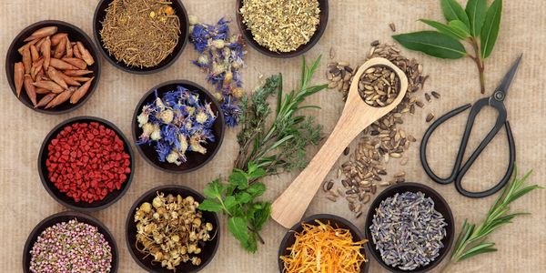 spices and organization in the kitchen