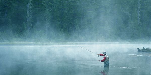 Sashas Walleye Spinners