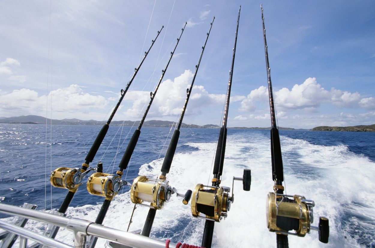 Fishing Charters
