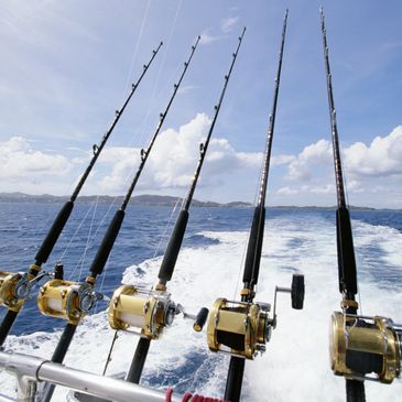 SPORT FISHING CHARTERS  SPORT FISHING CHARTERS