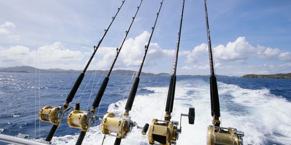 gamefishing rods and reels