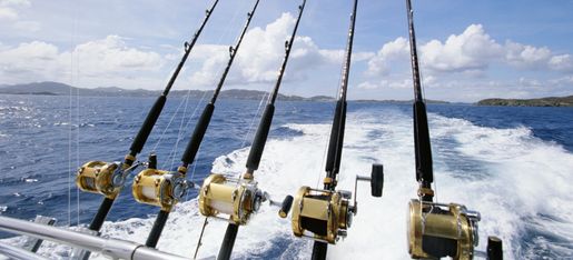 Catch & Sea charters - Home
