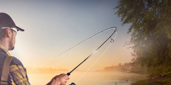 Customized softbait fishing lures