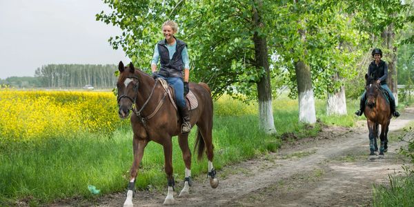 An example of 5 amazing horse riding vacations in North America
