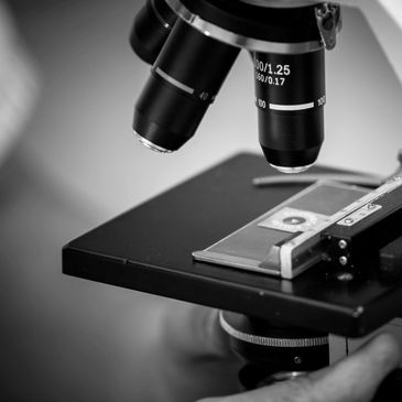 Ansys Zemax & Ansys Speos optics Simulation