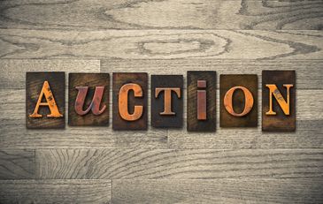 Schmalz Auctions - Online Auctions, Estate Sales, Appraisals, Antiques,  Collectibles, Coins & Currency