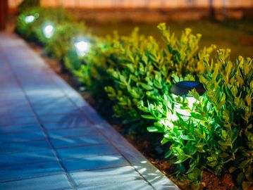 Landscape Lighting