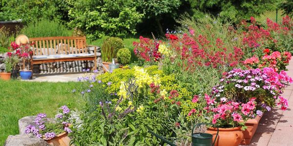 Gardening, plants and flowers. 