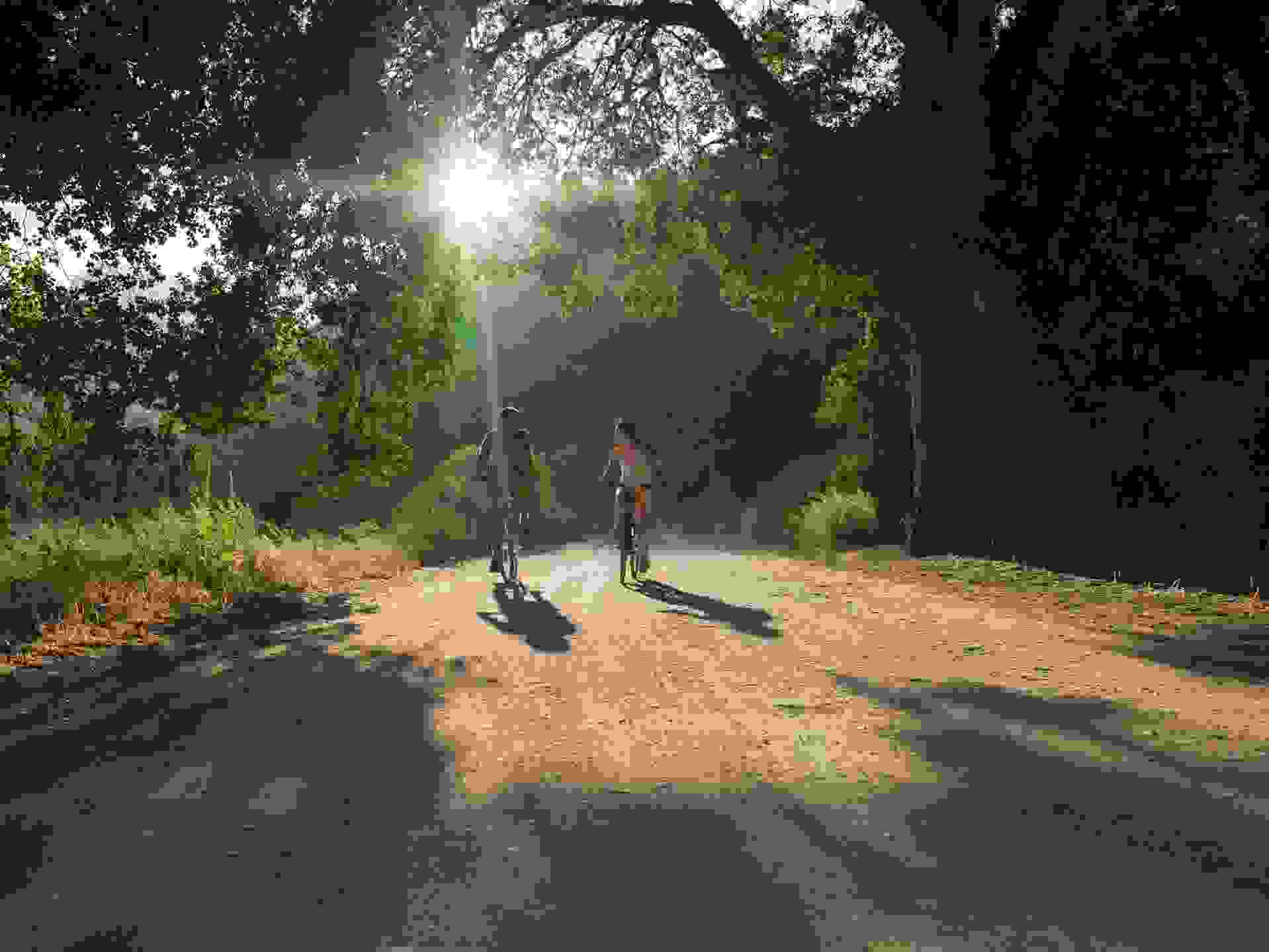 image36