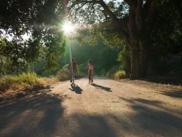 Two people cycling on a sunlit dirt path surrounded by trees.