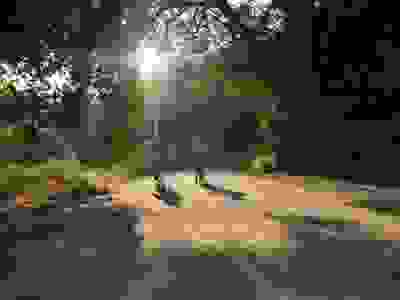 image37