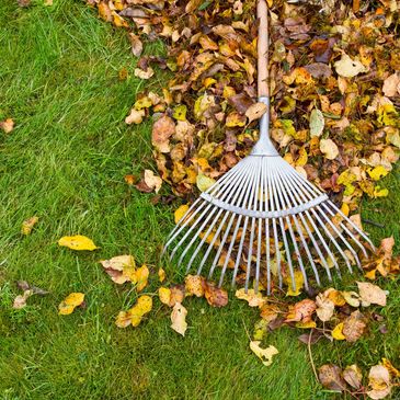 It just might be the day you feel like taking a break. My team is here to help. Get in touch