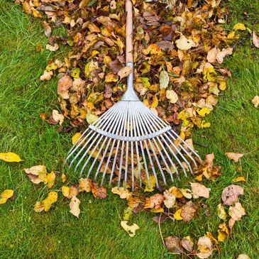 leaf collection services weymouth, dorchester