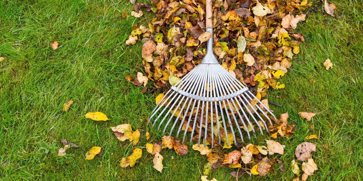 A Better Care Group assists our clients with yard work, lawn care, house cleaning, and more.