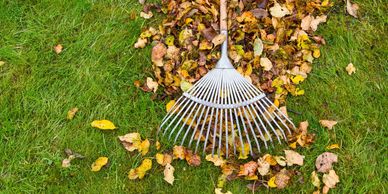 Raking leaves 