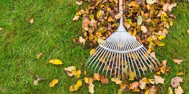 raking up leaves for spring and summer