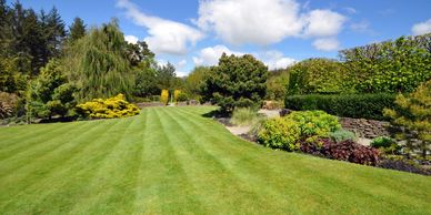  Lush green backyard with neatly mowed grass and vibrant flower beds with boxwood bushes