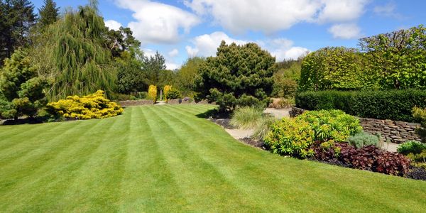 image126