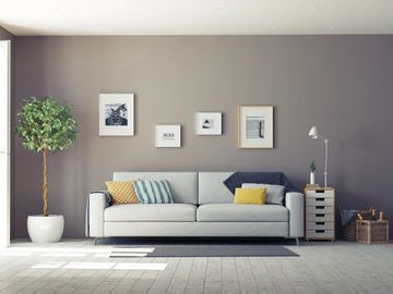 Modern living room with a sofa, framed art, and a potted plant.