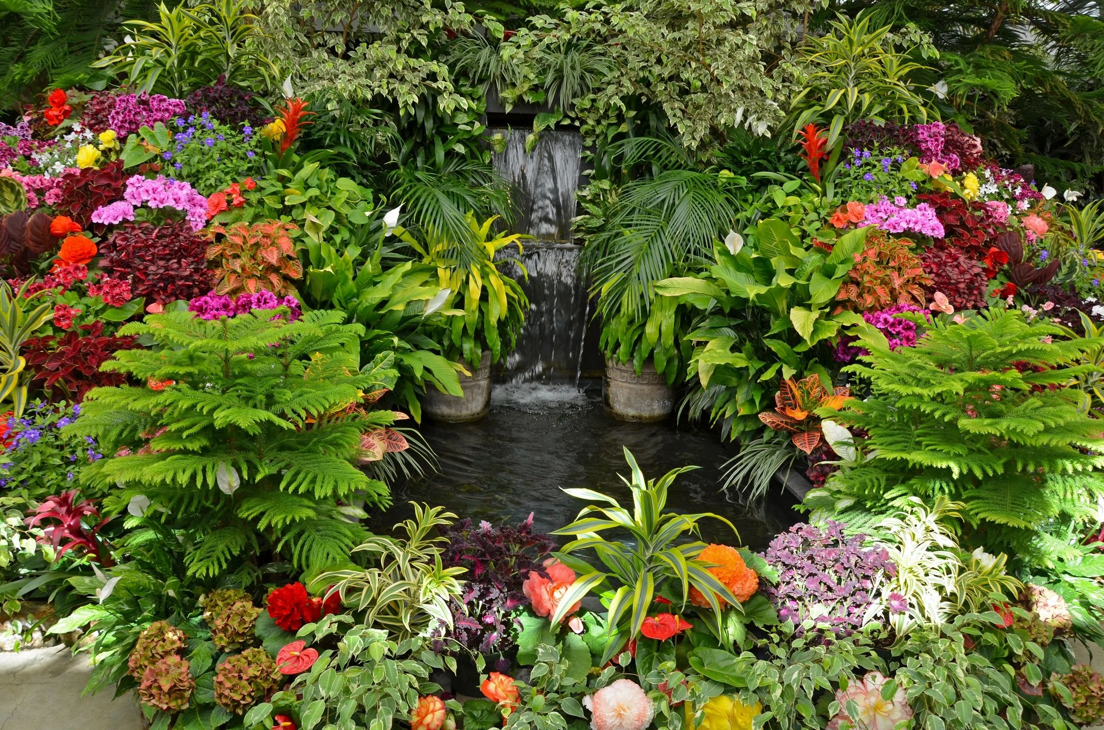 Blog brad garten aluguel loca o de plantas ornamentais para eventos