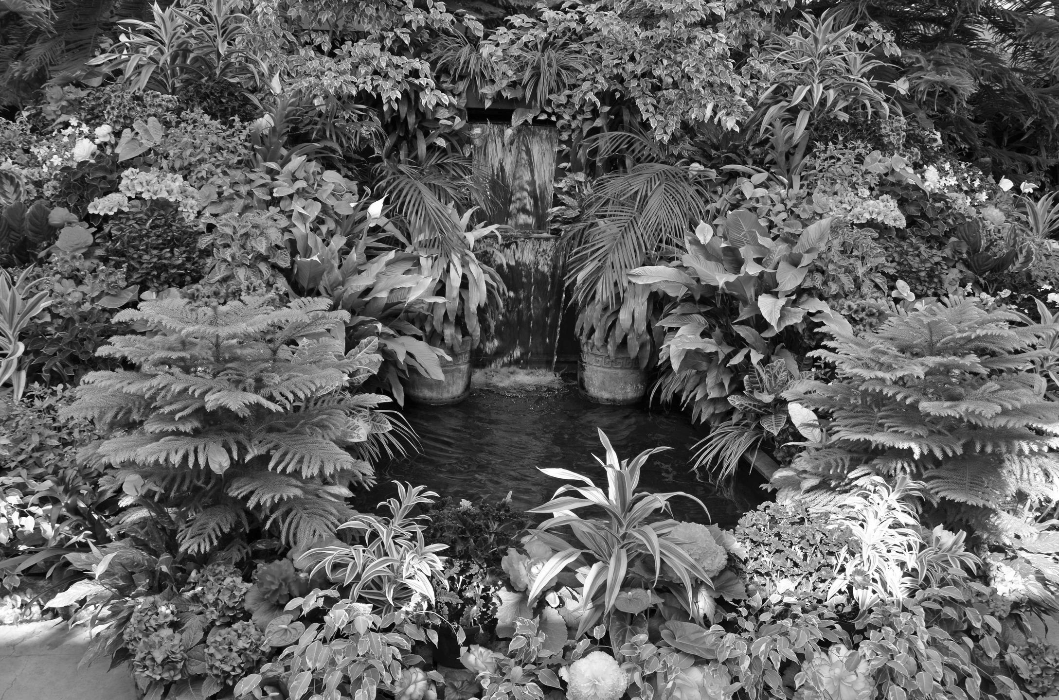 A small waterfall surrounded by lush foliage.