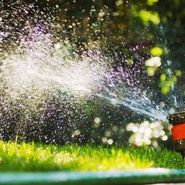 Lawn sprinkler system installation.