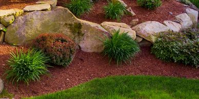 plantings in a bed with mulch and a clean edge
