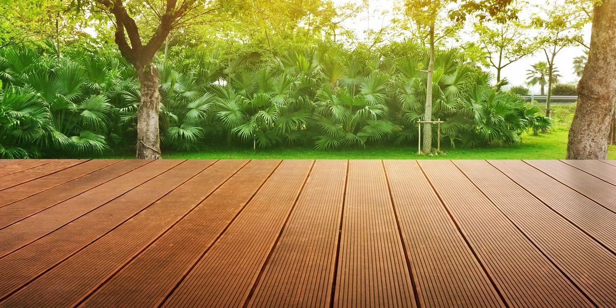 Sunny garden view with wooden deck and lush green palm trees.