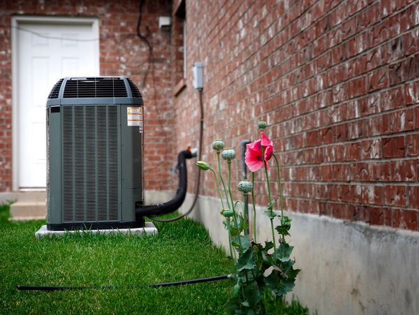Air conditioner unit outside brick house with pink flower.