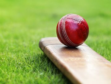 Artificial Grass: CRICKET