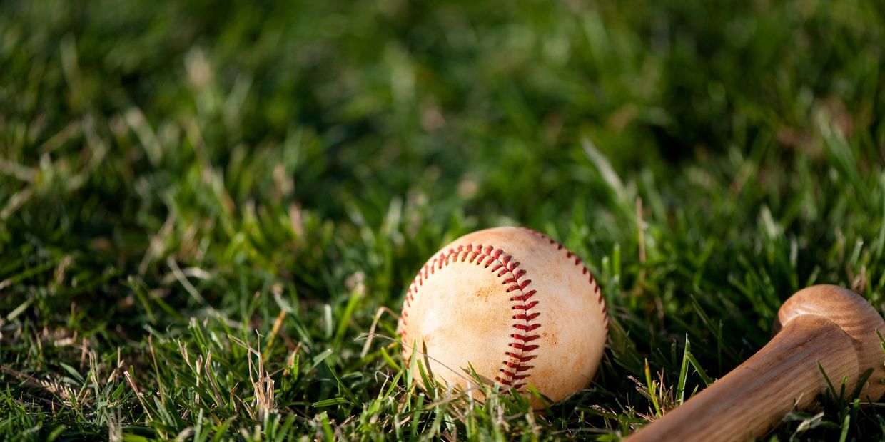 Baseball and bat on grass.