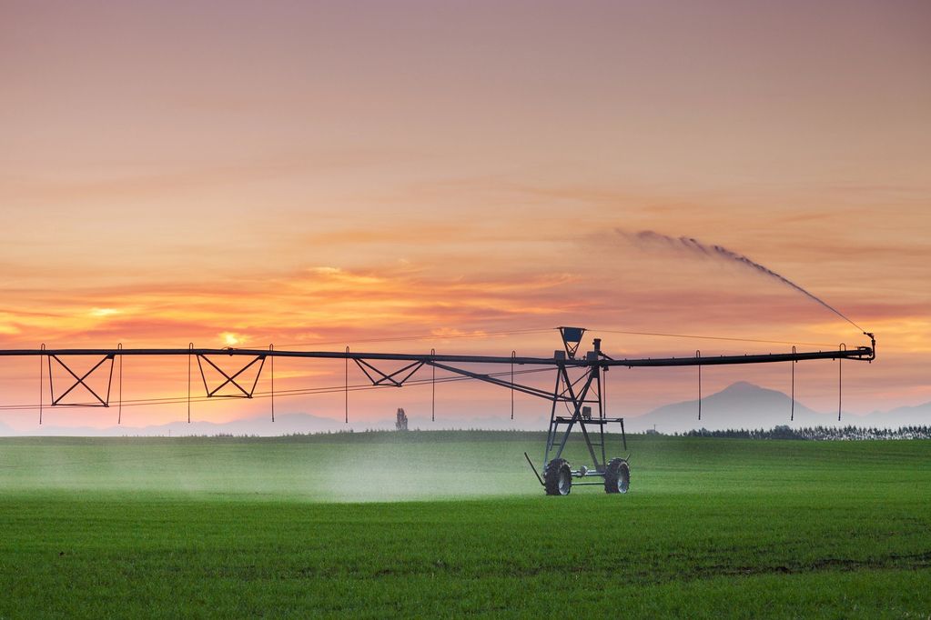 Irrigation system watering a green field at sunset.