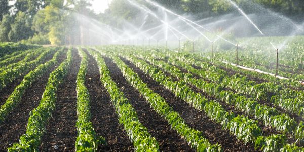 irrigation, natural, rain, water, planting, snowfall, forest