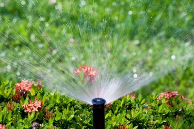 Houston Landscape Pros Installation of Lawn Sprinkler System- Katy, TX